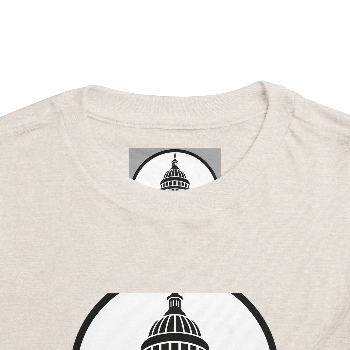 Baltimore and Ohio Railroad Toddler Tee / T-Shirt