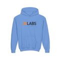 3Dlabs Youth Hoodie / Sweatshirt