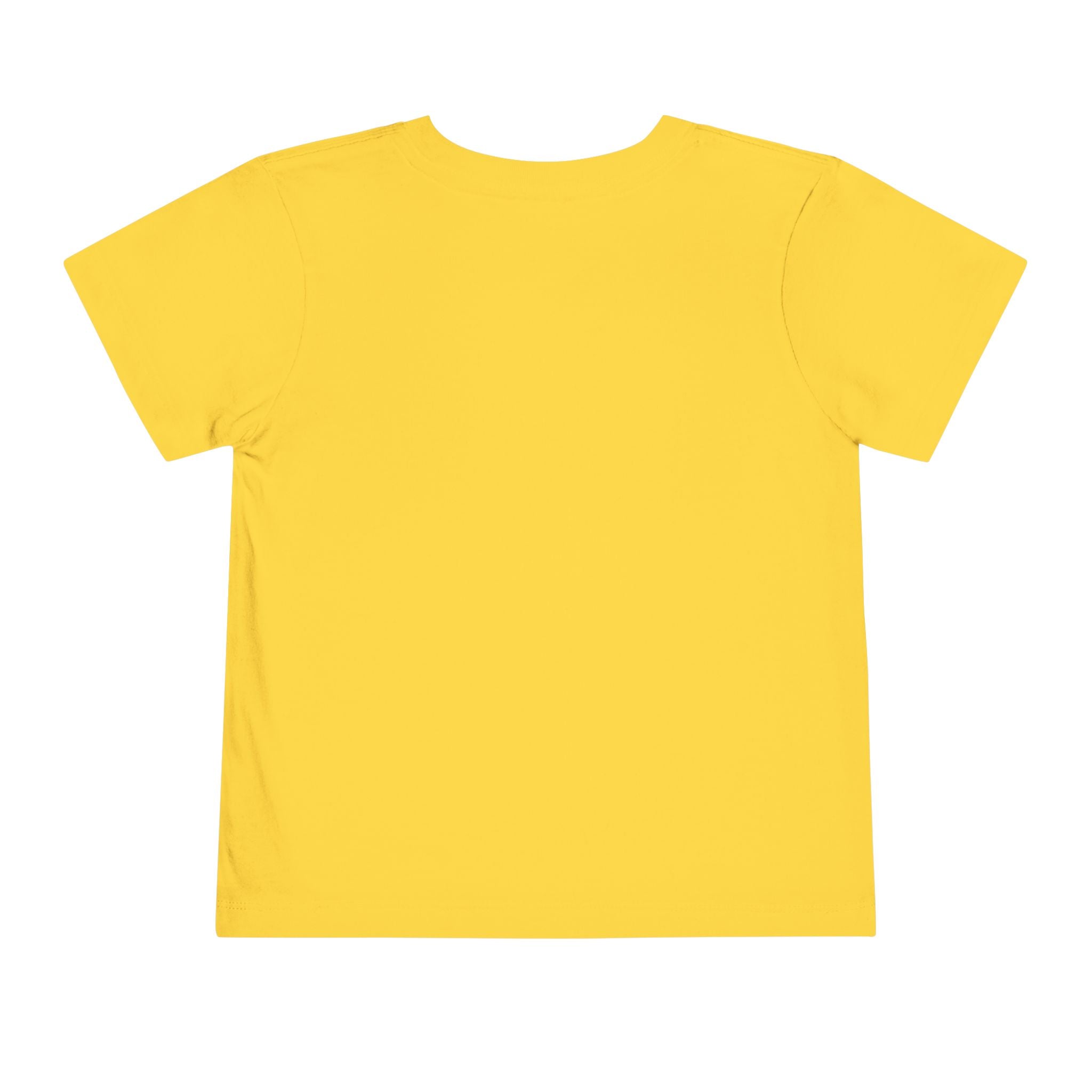 Big Bear Stores Toddler Tee / T-Shirt