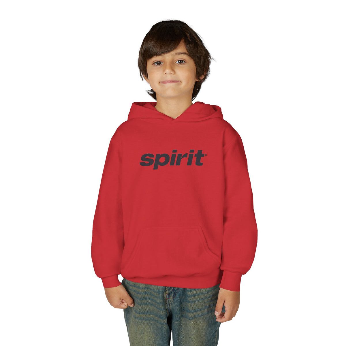 Spirit Airlines Youth Hoodie / Swaetshirt