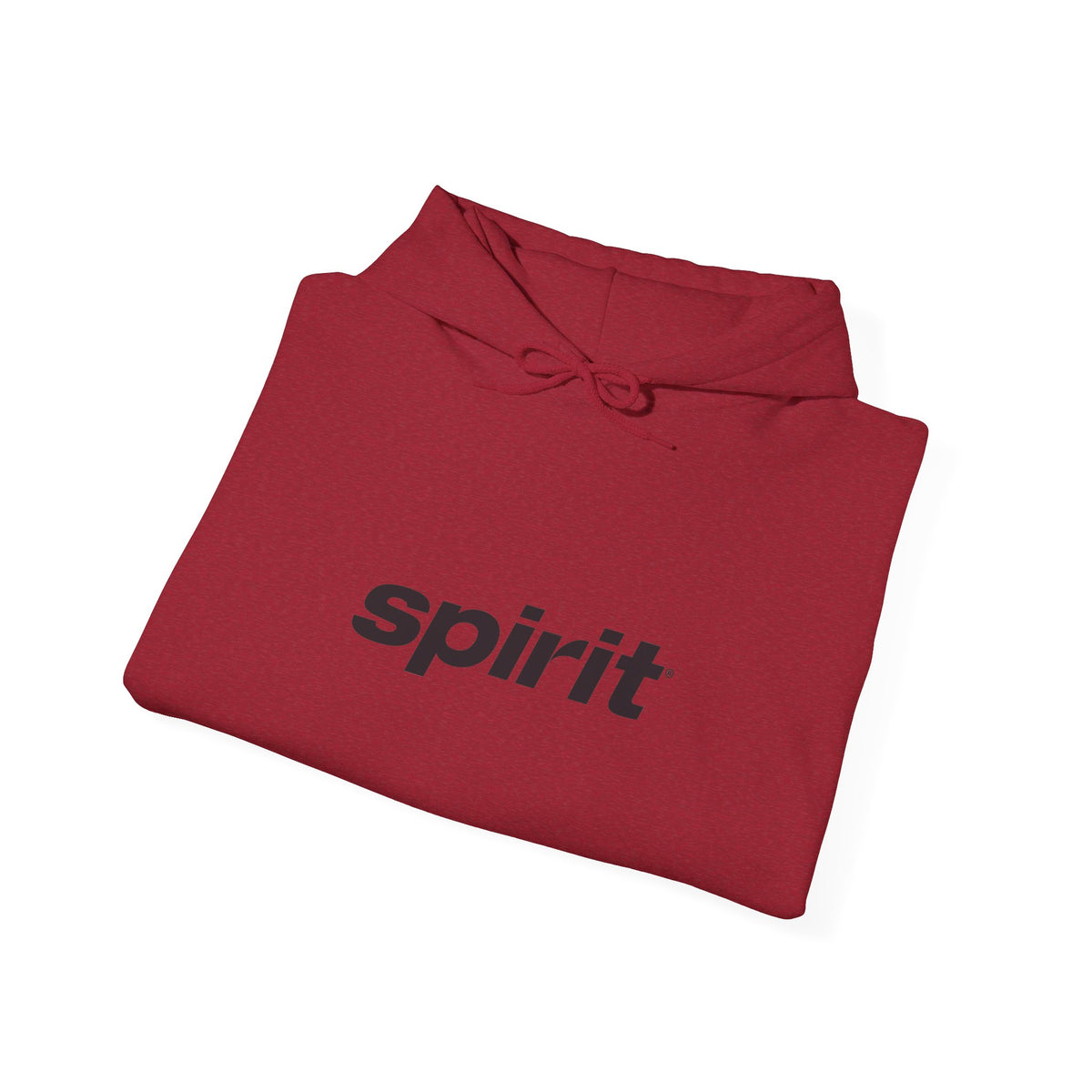 Spirit Airlines Hoodie / Sweatshirt