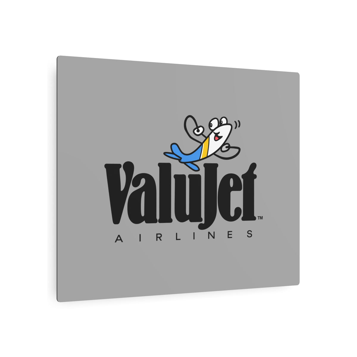 ValuJet Airlines Metal Sign