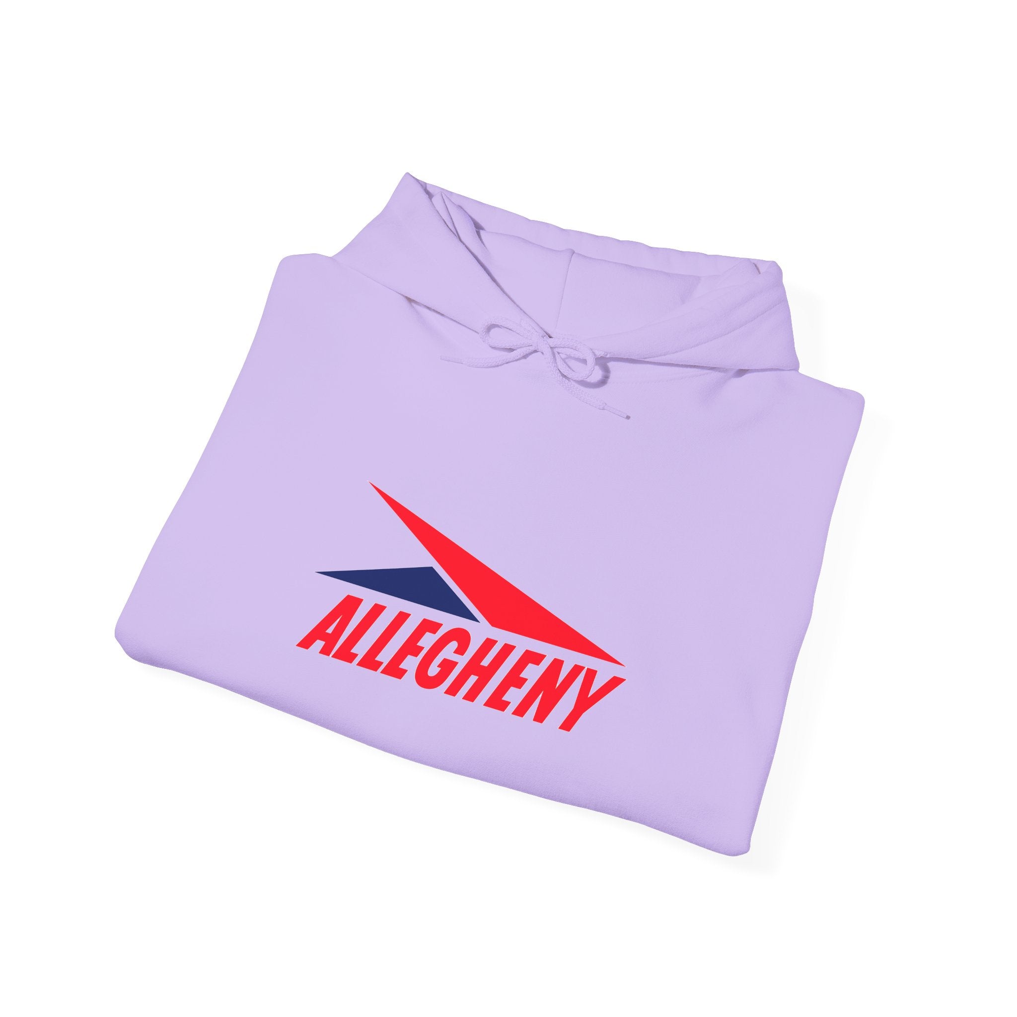 Allegheny Airlines Hoodie / Sweatshirt