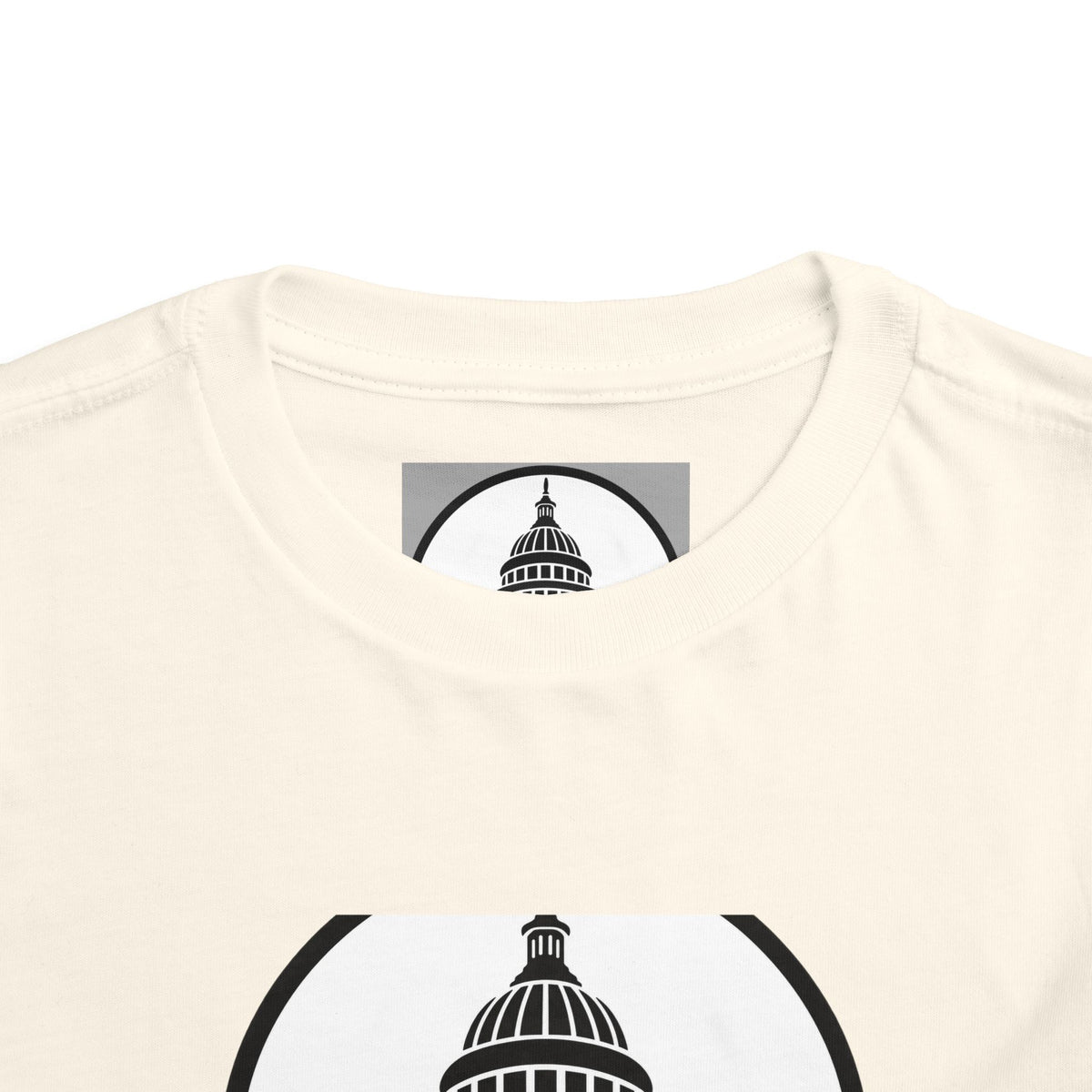 Baltimore and Ohio Railroad Toddler Tee / T-Shirt