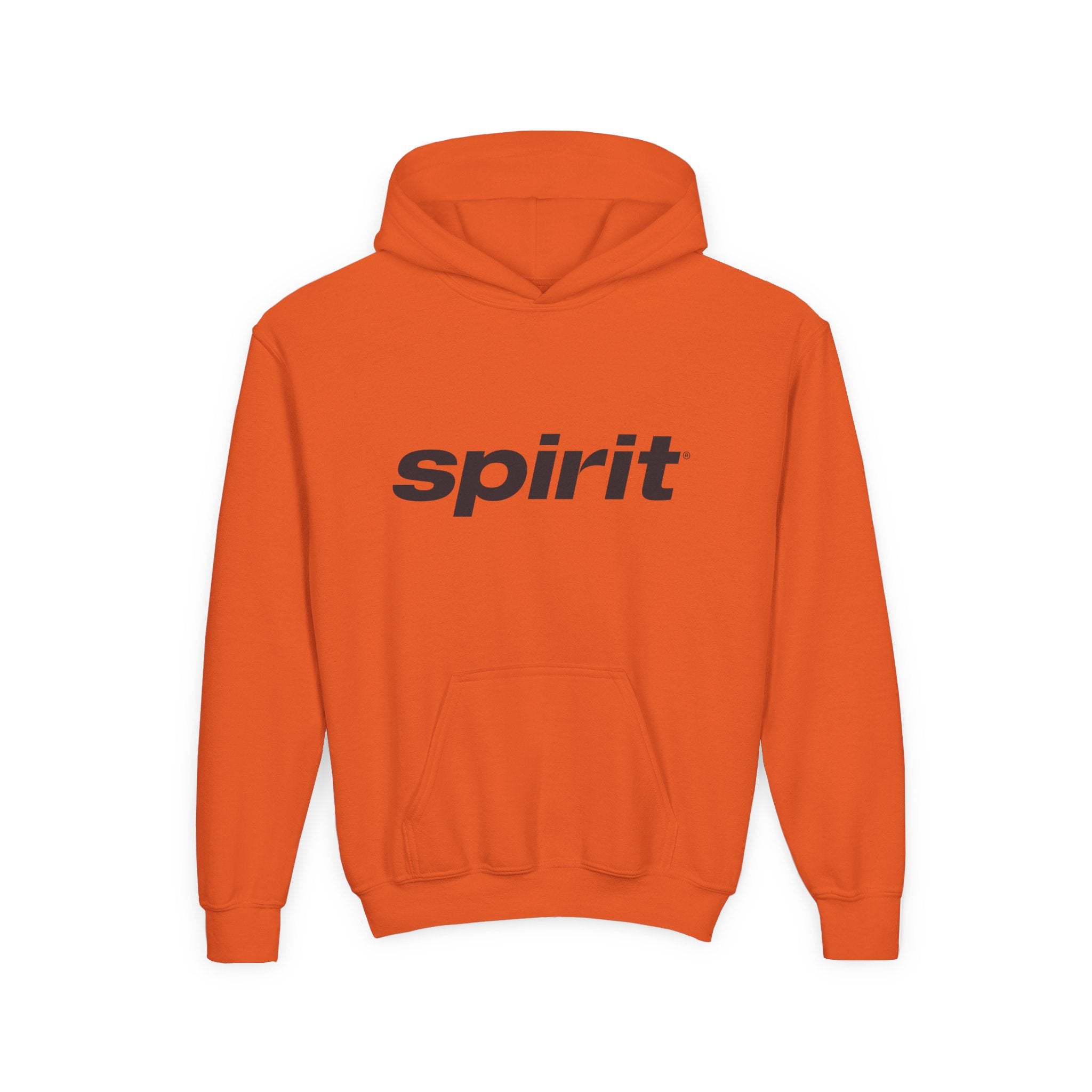 Spirit Airlines Youth Hoodie / Swaetshirt