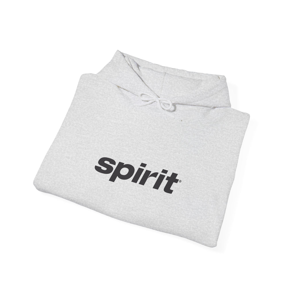Spirit Airlines Hoodie / Sweatshirt