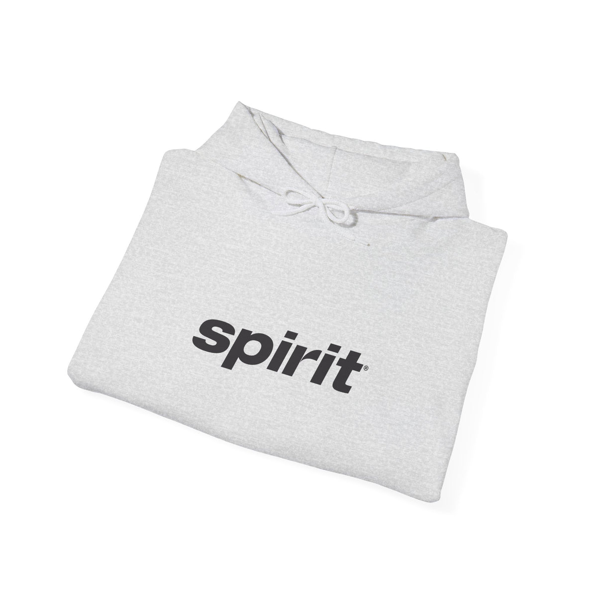 Spirit Airlines Hoodie / Sweatshirt
