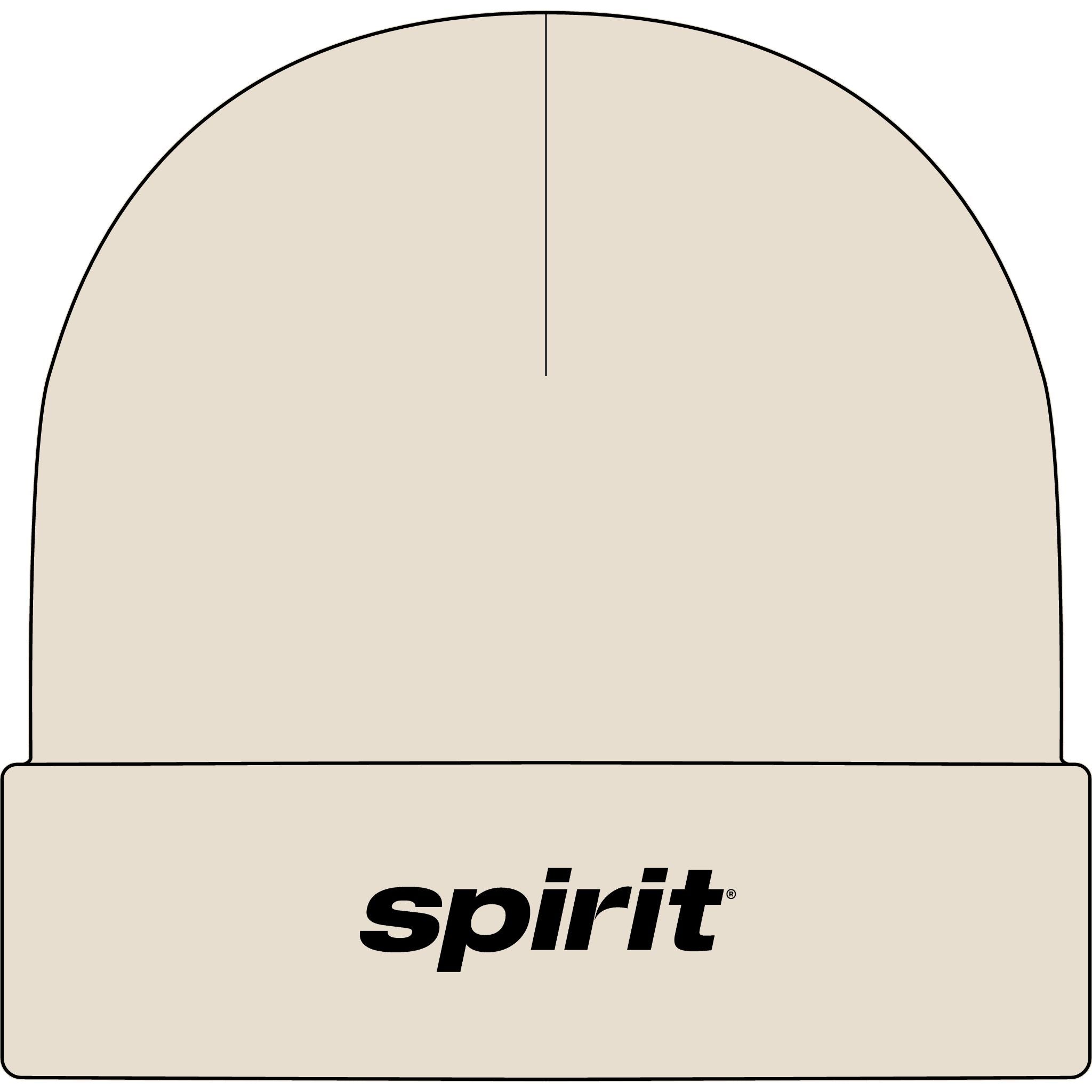 Spirit Airlines Cuff Beanie