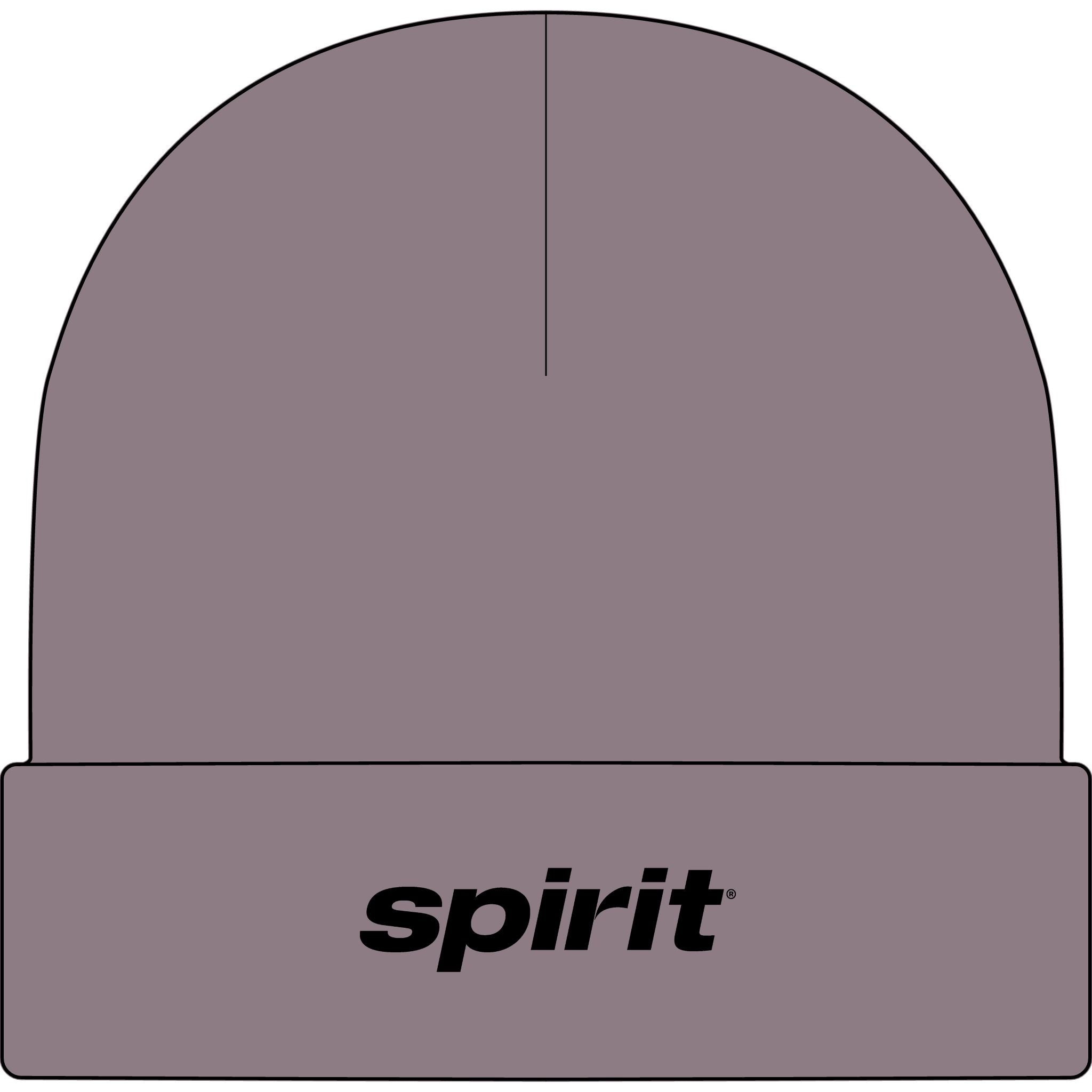 Spirit Airlines Cuff Beanie