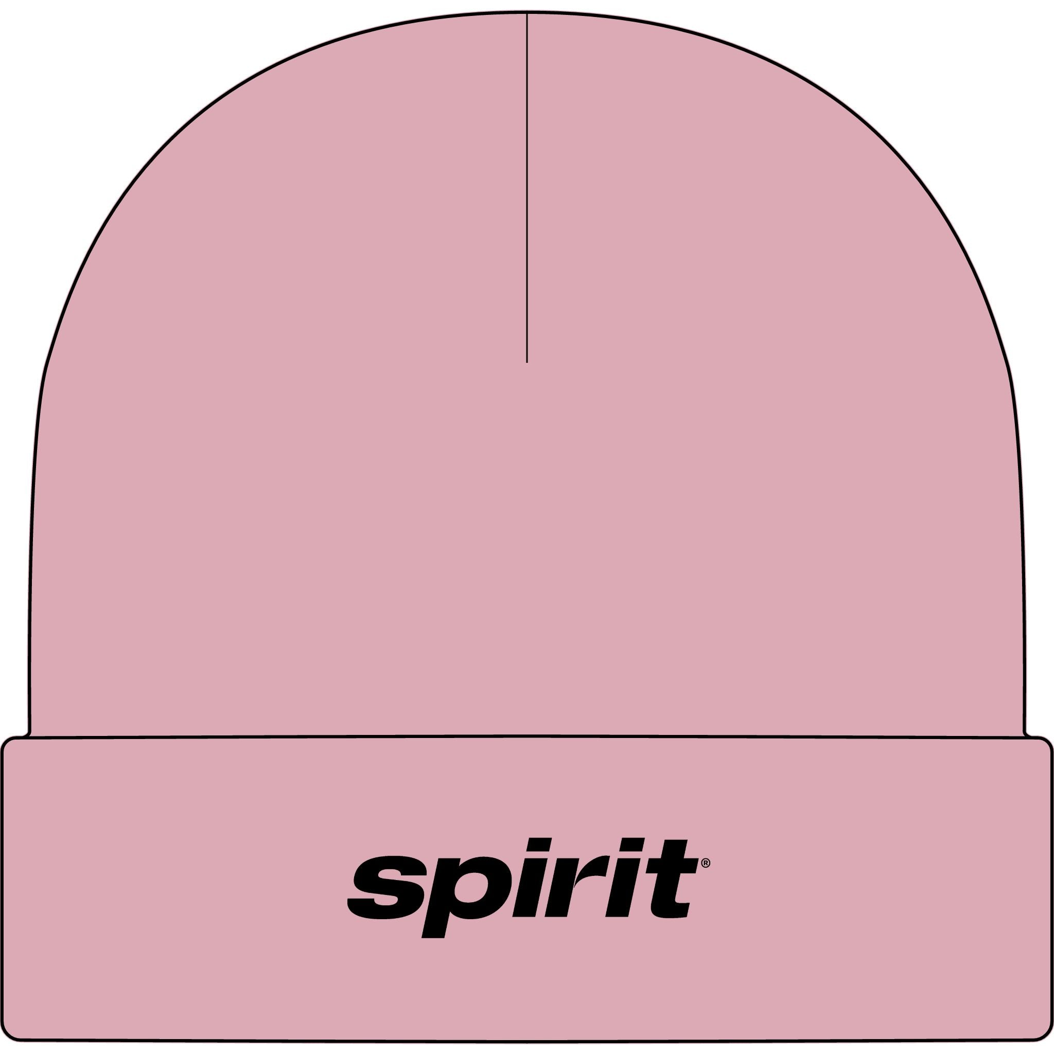 Spirit Airlines Cuff Beanie