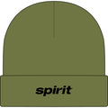Spirit Airlines Cuff Beanie