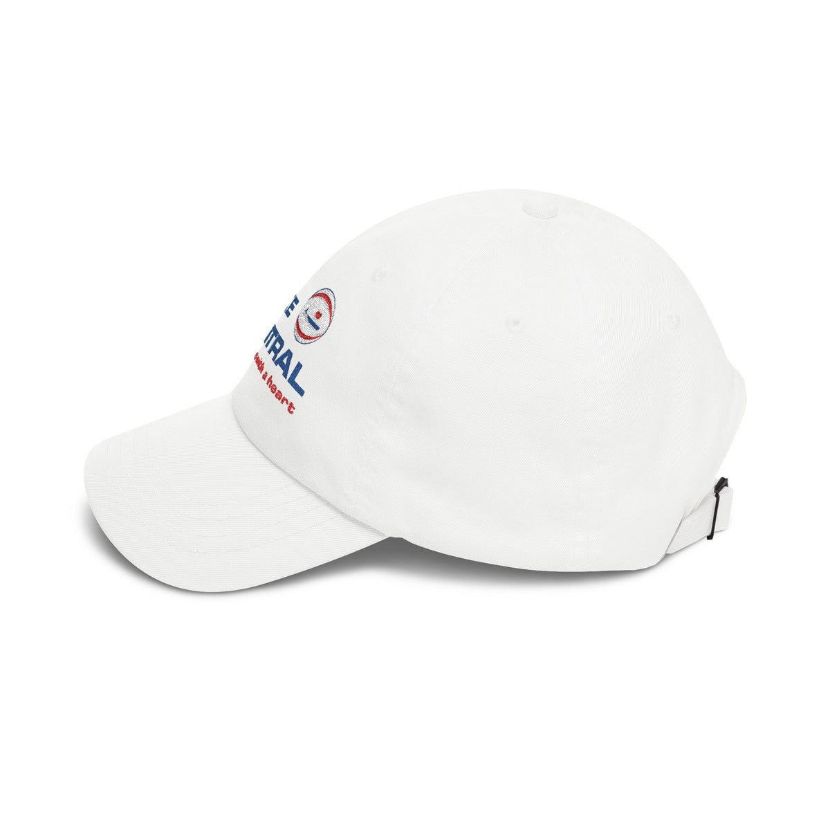 Lake Central Airlines Embroidered Dad Cap Hat