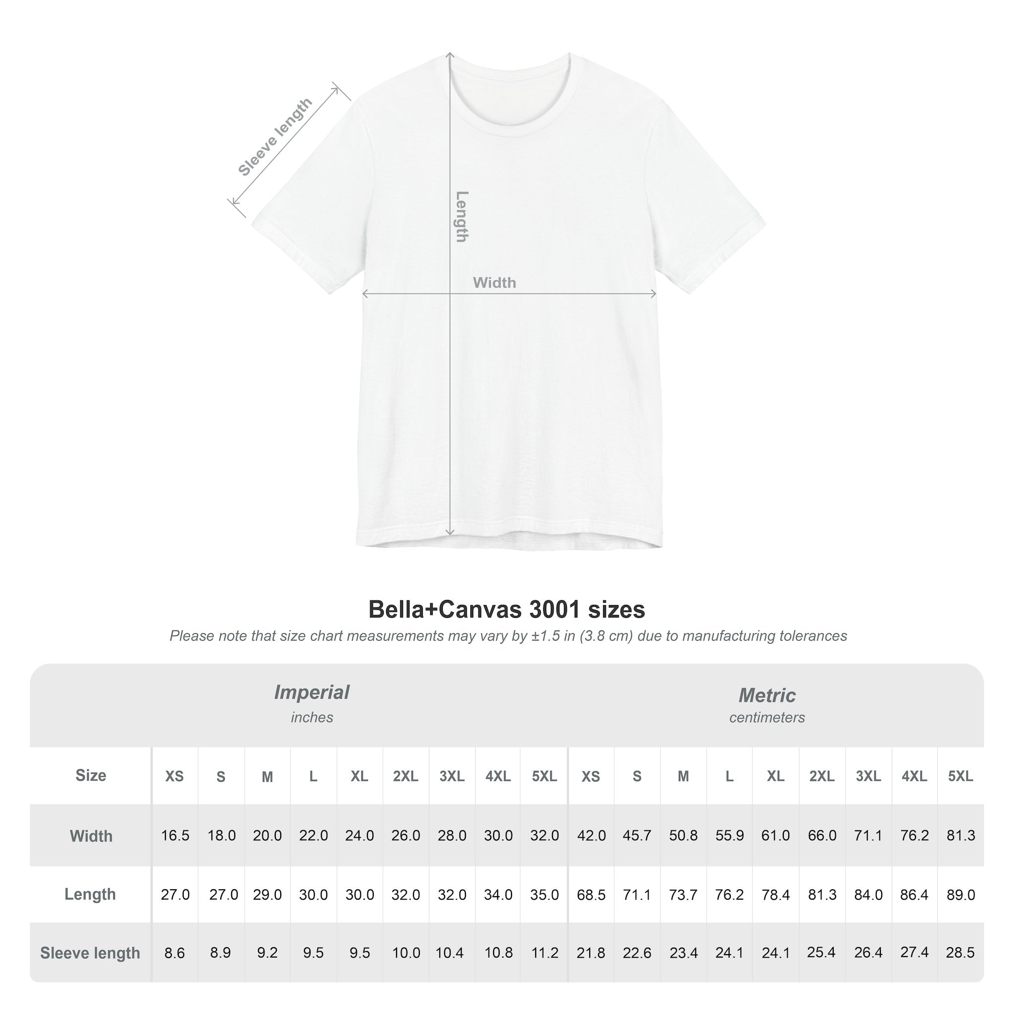 Bear Stearns T-Shirt 2008 Intern (Sleeve)