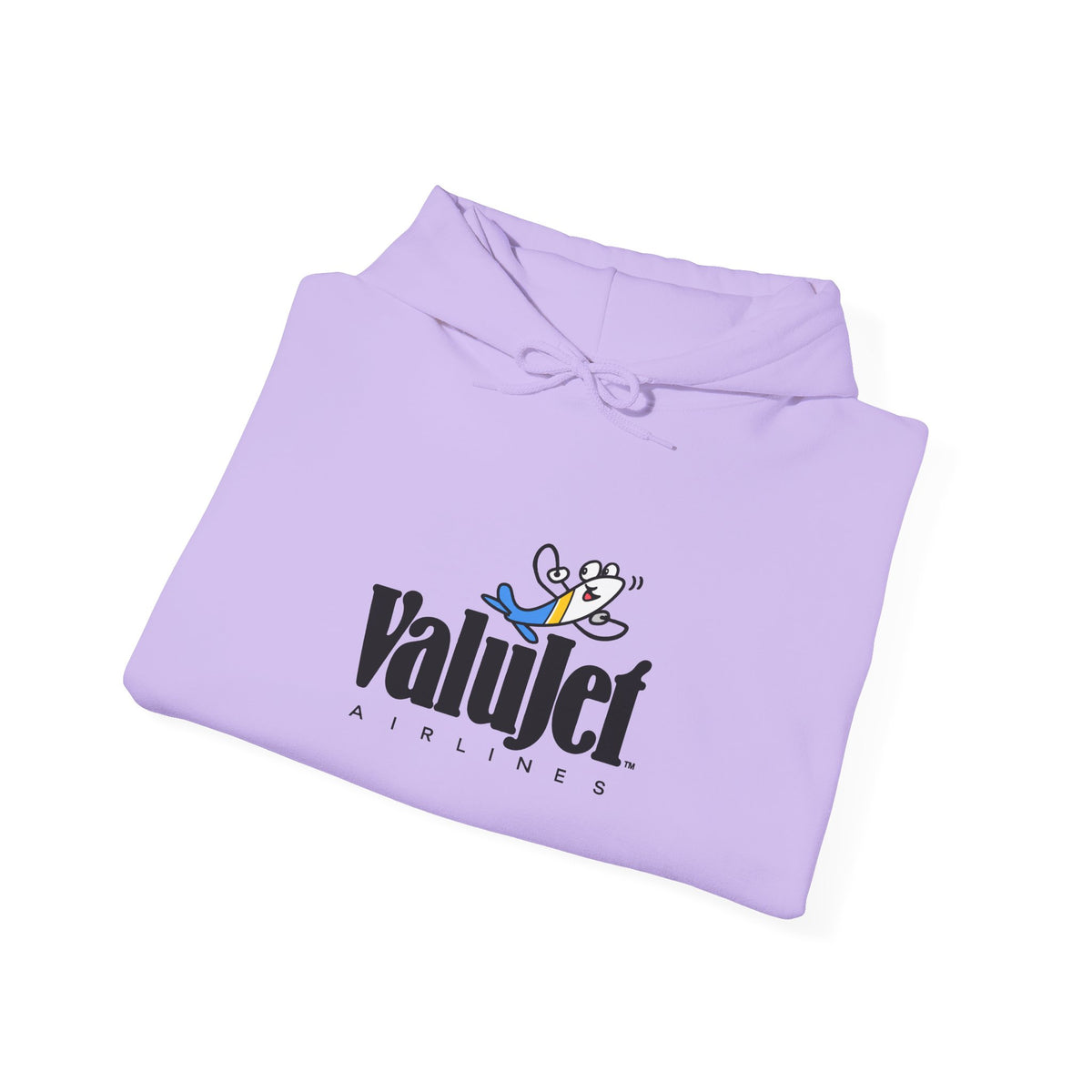 ValuJet Airlines Hoodie / Sweatshirt