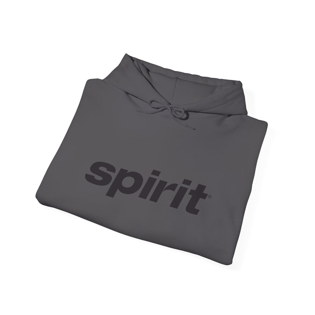 Spirit Airlines Hoodie / Sweatshirt