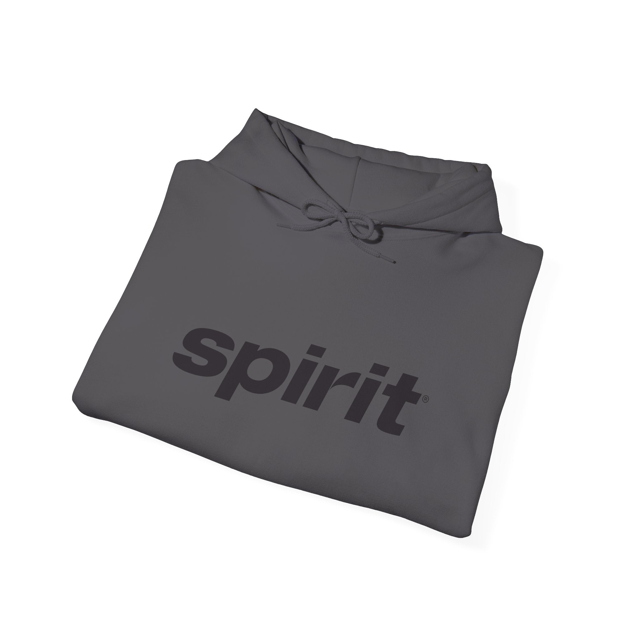 Spirit Airlines Hoodie / Sweatshirt