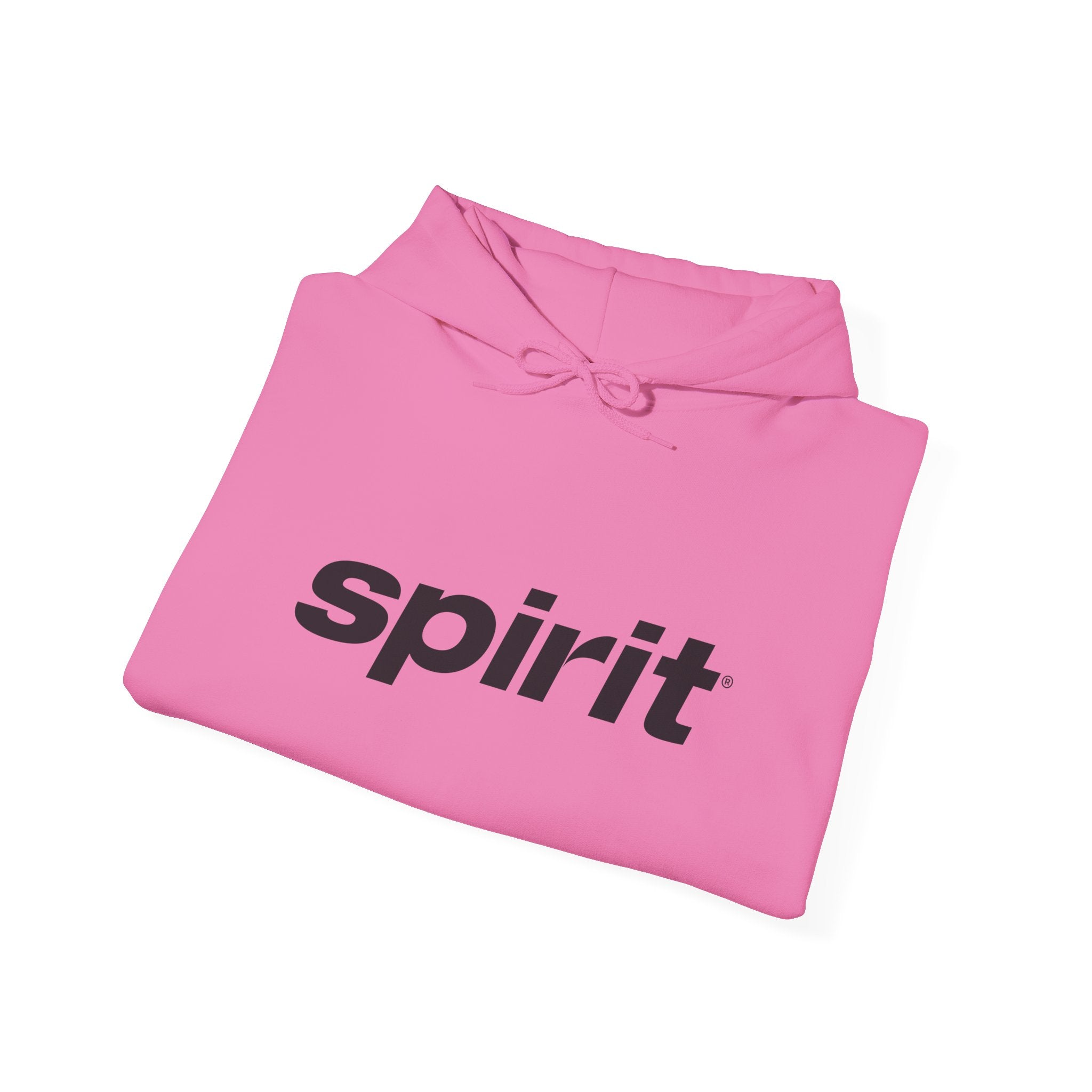 Spirit Airlines Hoodie / Sweatshirt