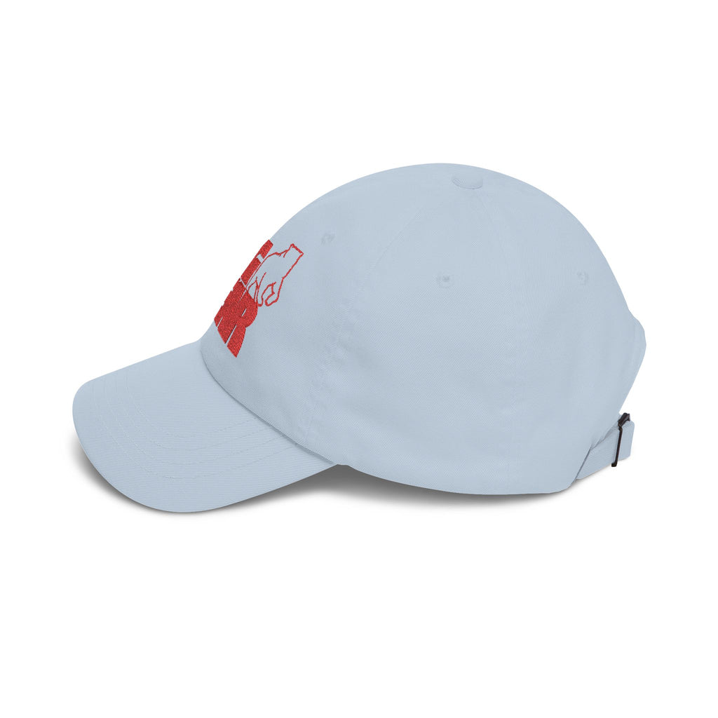 Big Bear Stores Embroidered Dad Cap Hat