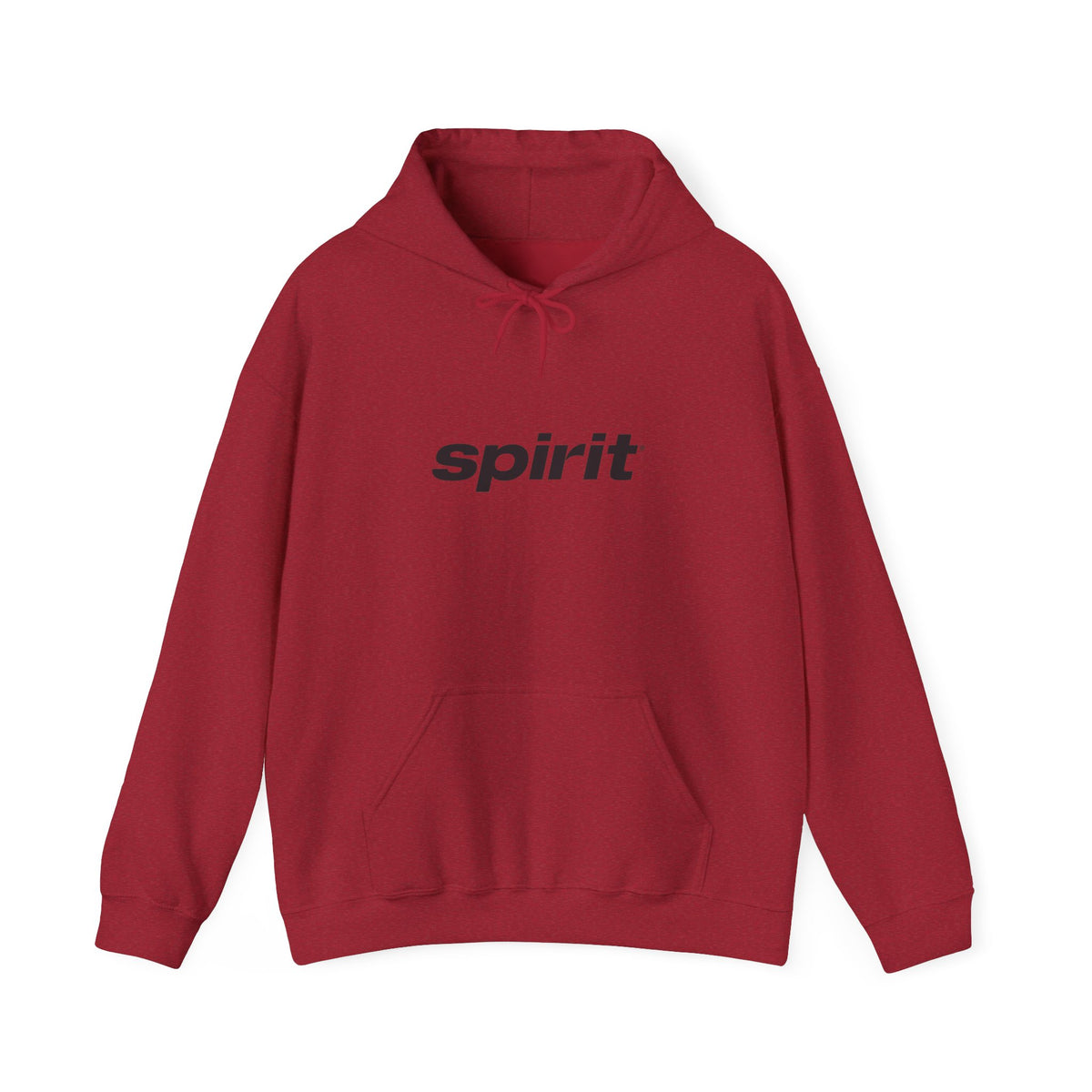 Spirit Airlines Hoodie / Sweatshirt