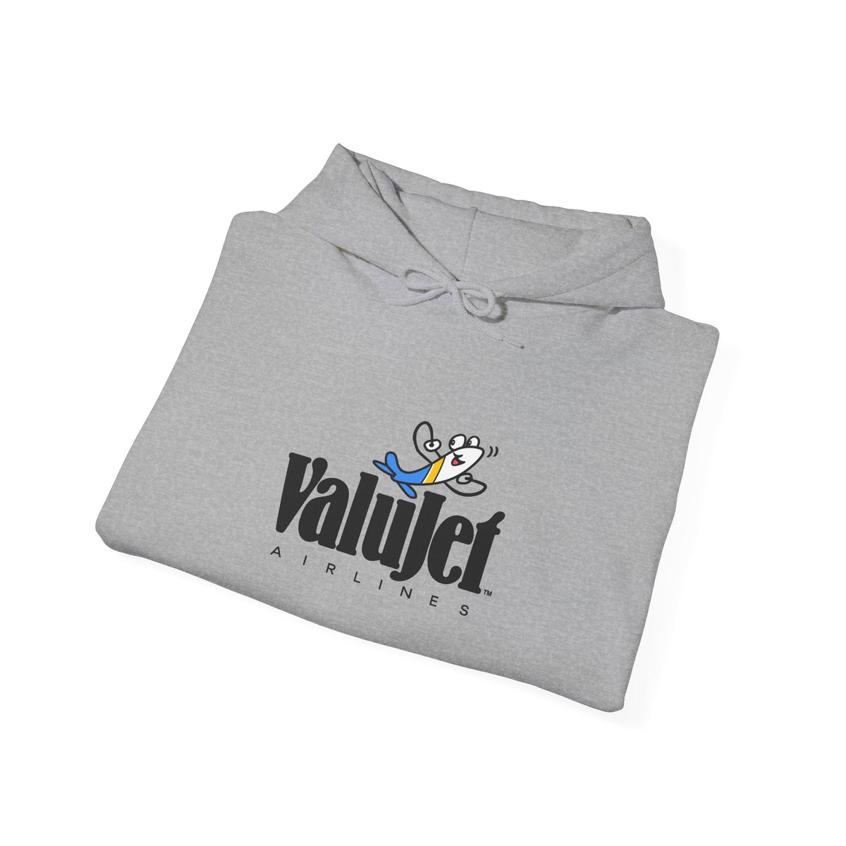 ValuJet Airlines Hoodie / Sweatshirt