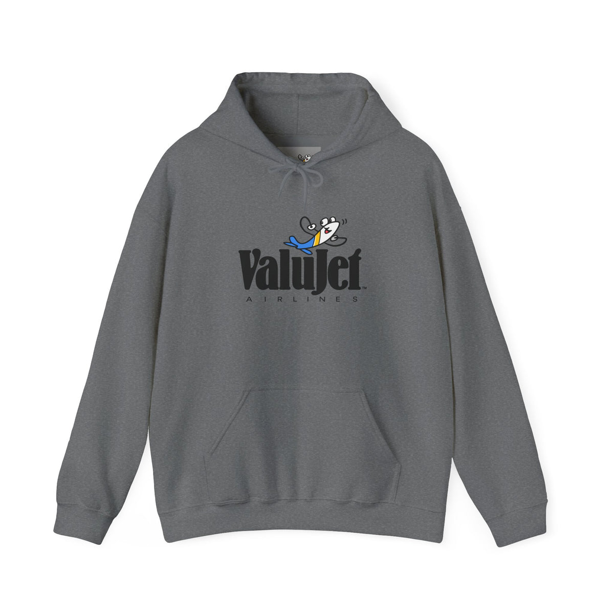 ValuJet Airlines Hoodie / Sweatshirt