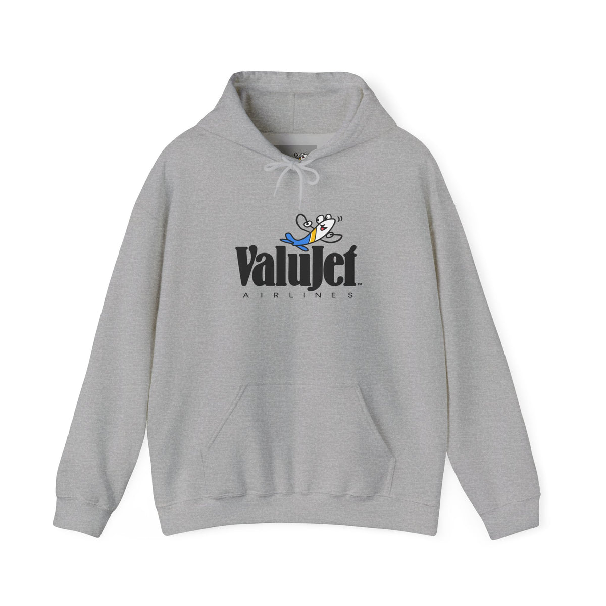 ValuJet Airlines Hoodie / Sweatshirt