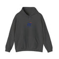 Rich International Airways Hoodie / Sweatshirt