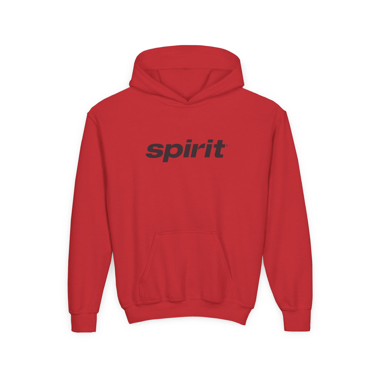 Spirit Airlines Youth Hoodie / Swaetshirt