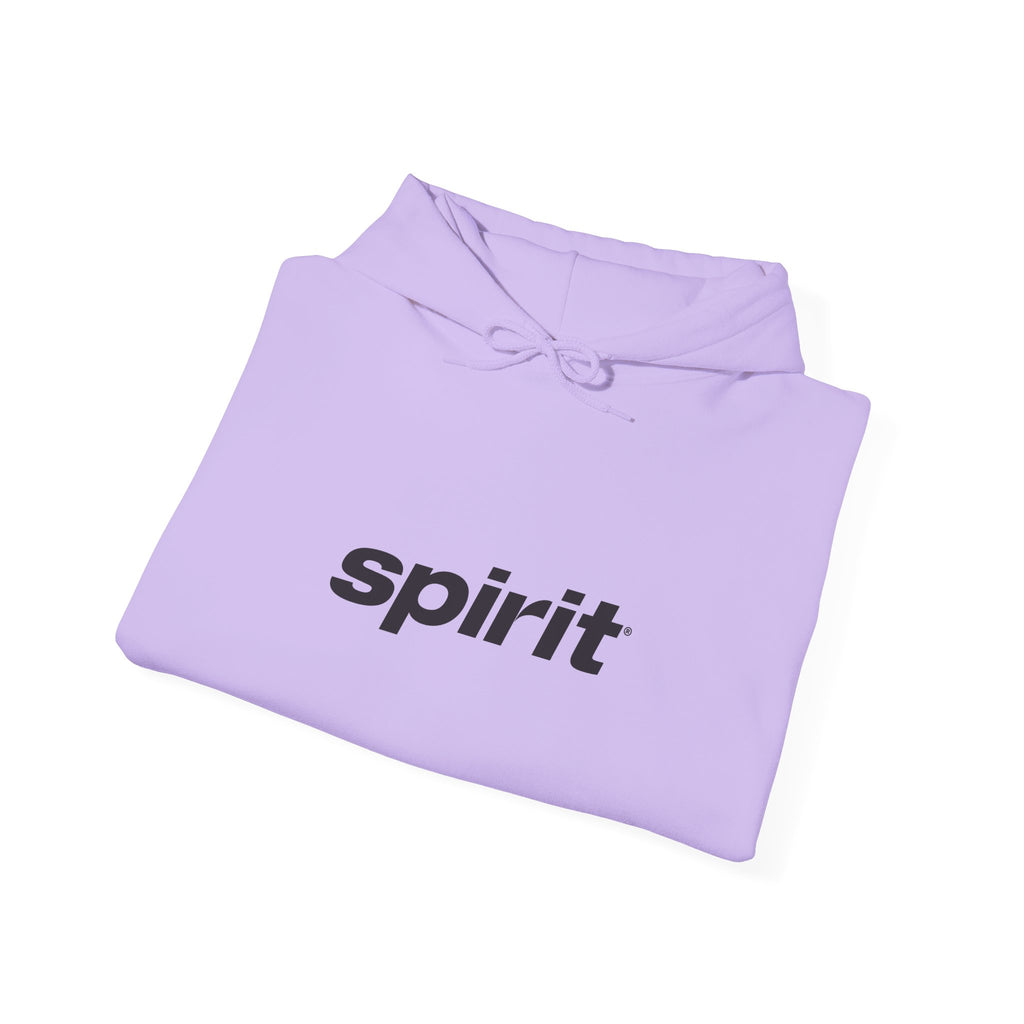 Spirit Airlines Hoodie / Sweatshirt