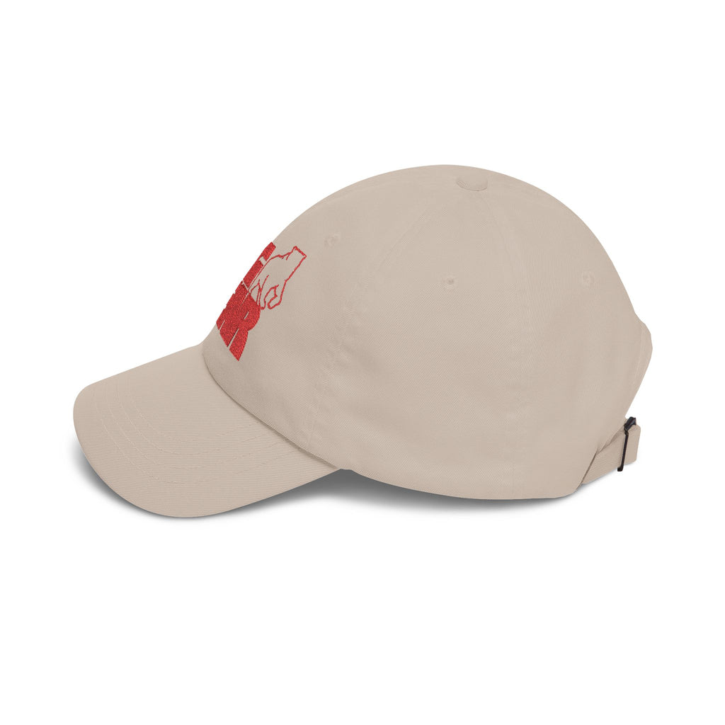 Big Bear Stores Embroidered Dad Cap Hat