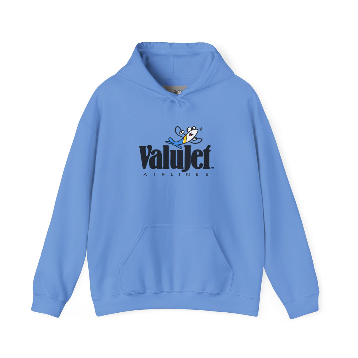 ValuJet Airlines Hoodie / Sweatshirt
