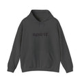 Spirit Airlines Hoodie / Sweatshirt