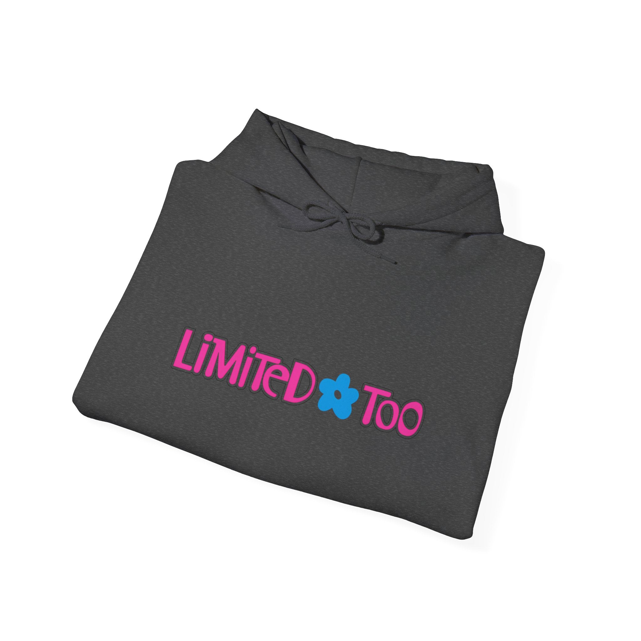 Limited Too Hoodie / Sweatshirt