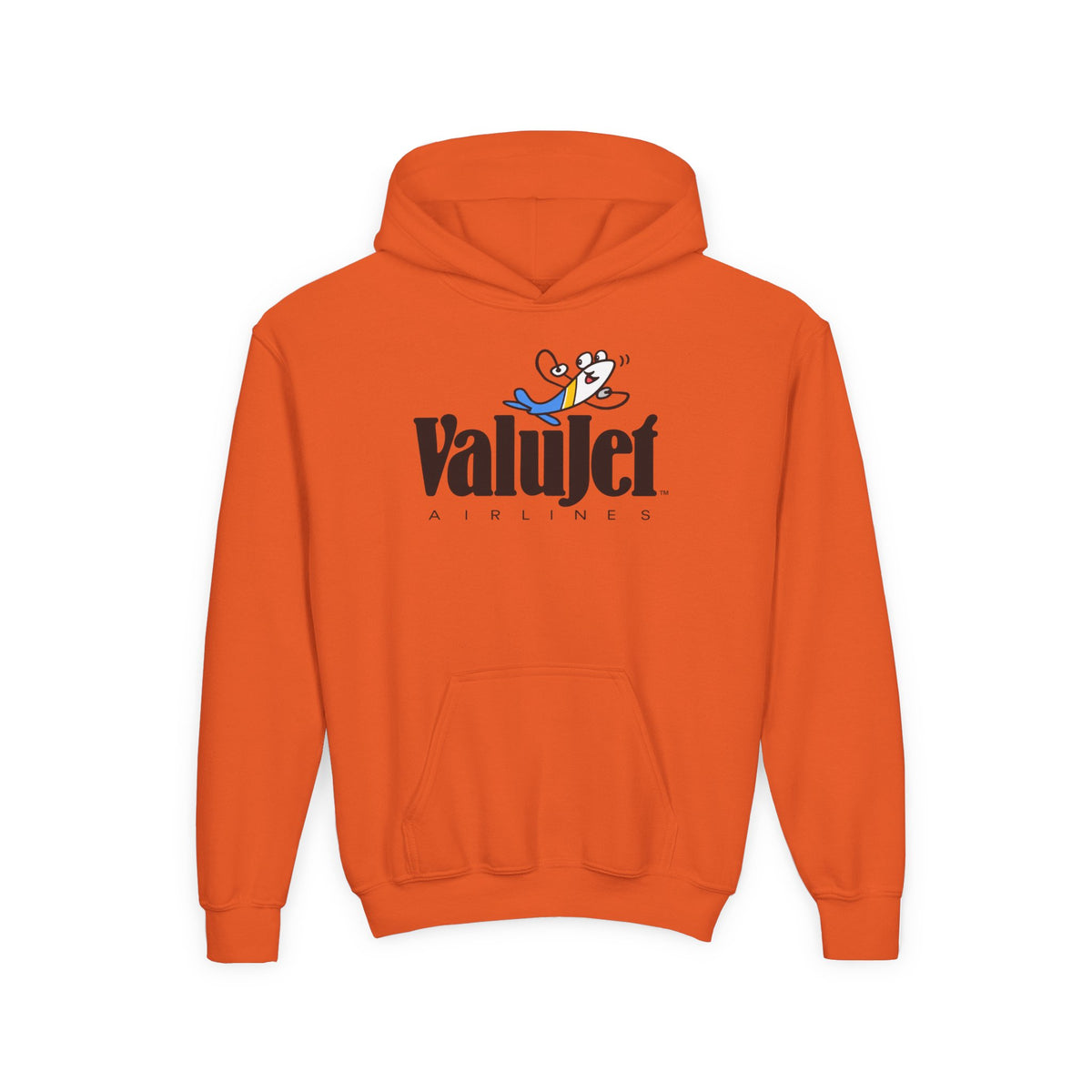 ValuJet Airlines Youth Hoodie / Sweatshirt