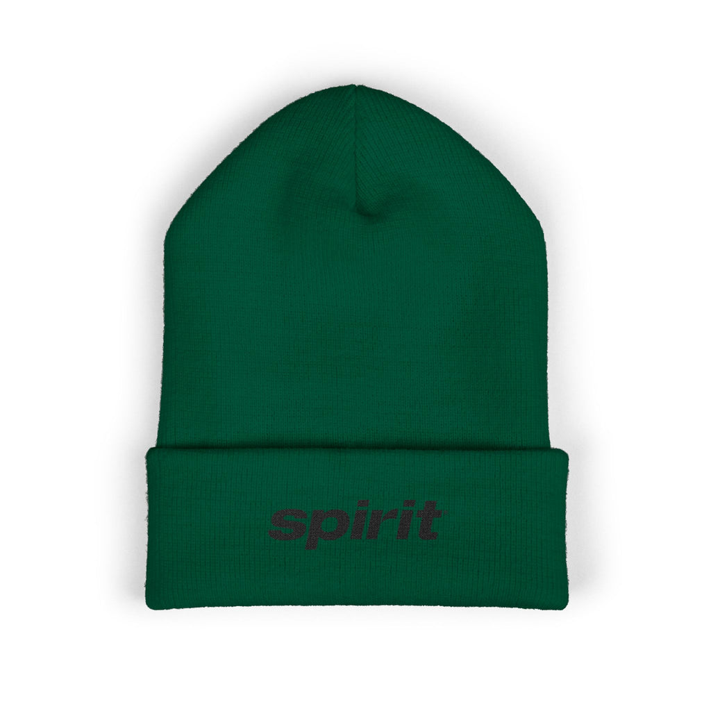 Spirit Airlines Cuffed Beanie