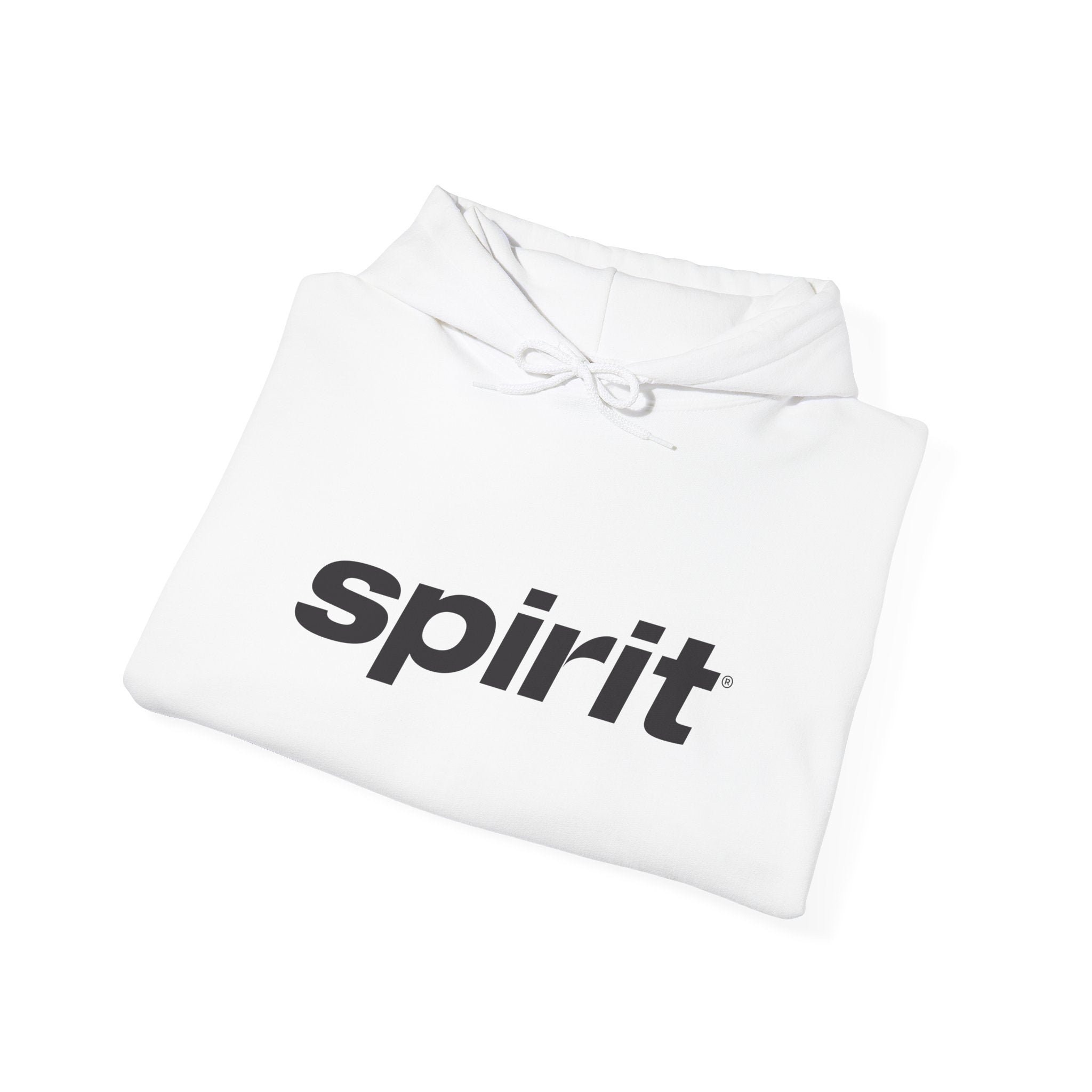 Spirit Airlines Hoodie / Sweatshirt