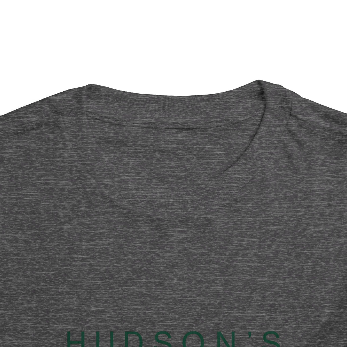 Hudson's Toddler Tee / T-Shirt