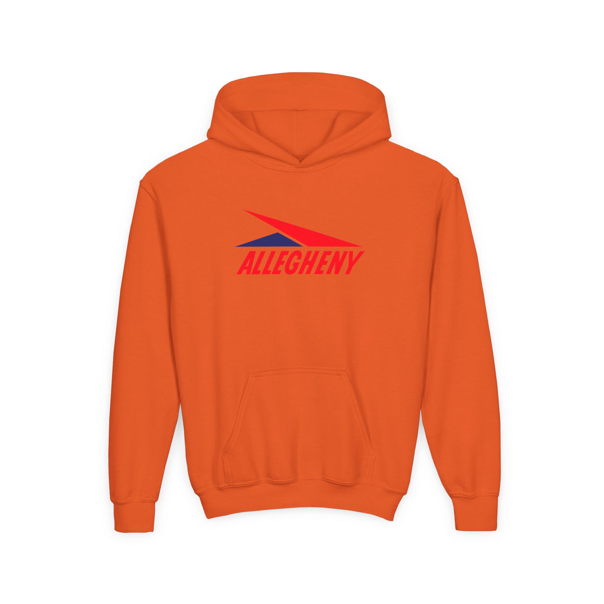 Allegheny Airlines Youth Hoodie / Sweatshirt