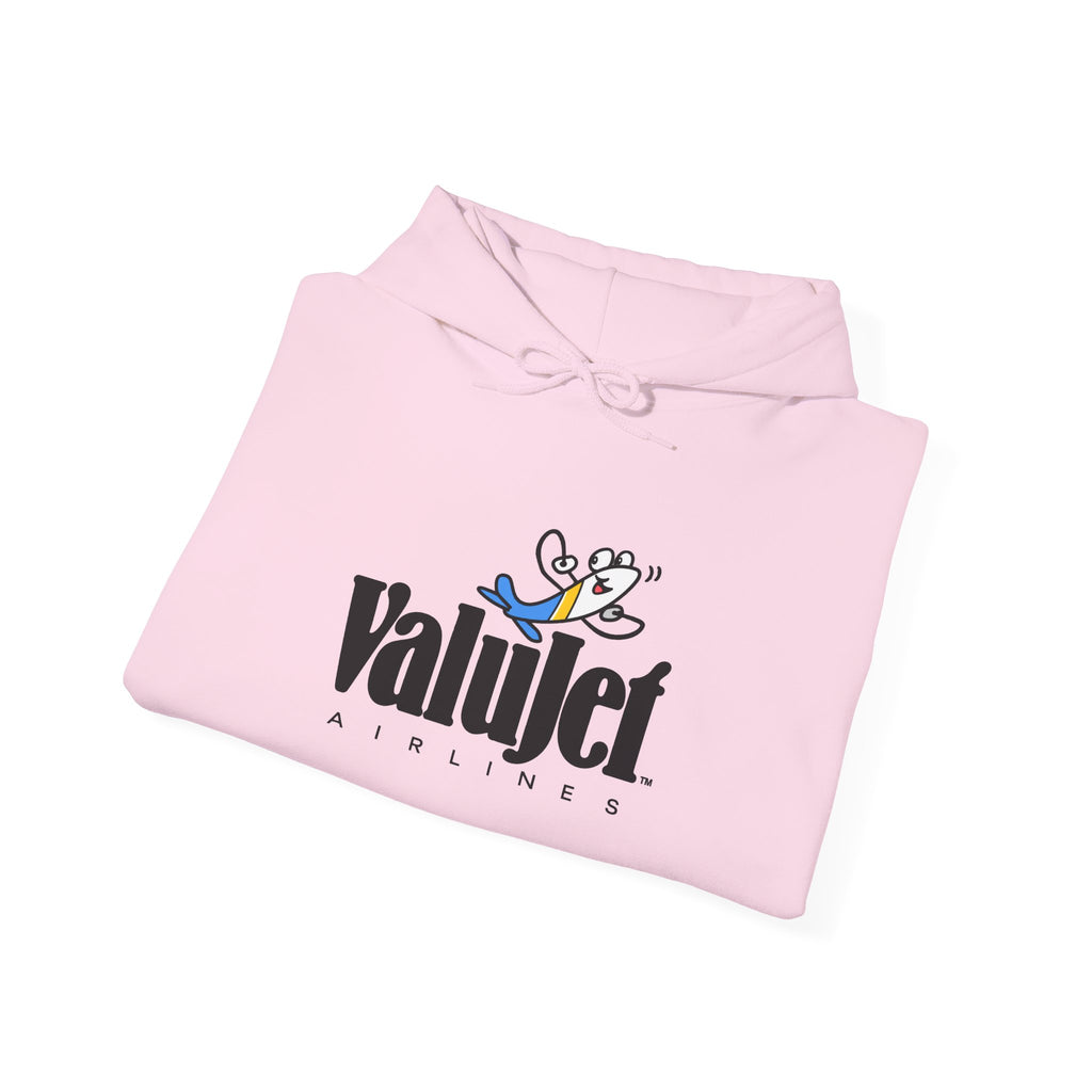 ValuJet Airlines Hoodie / Sweatshirt