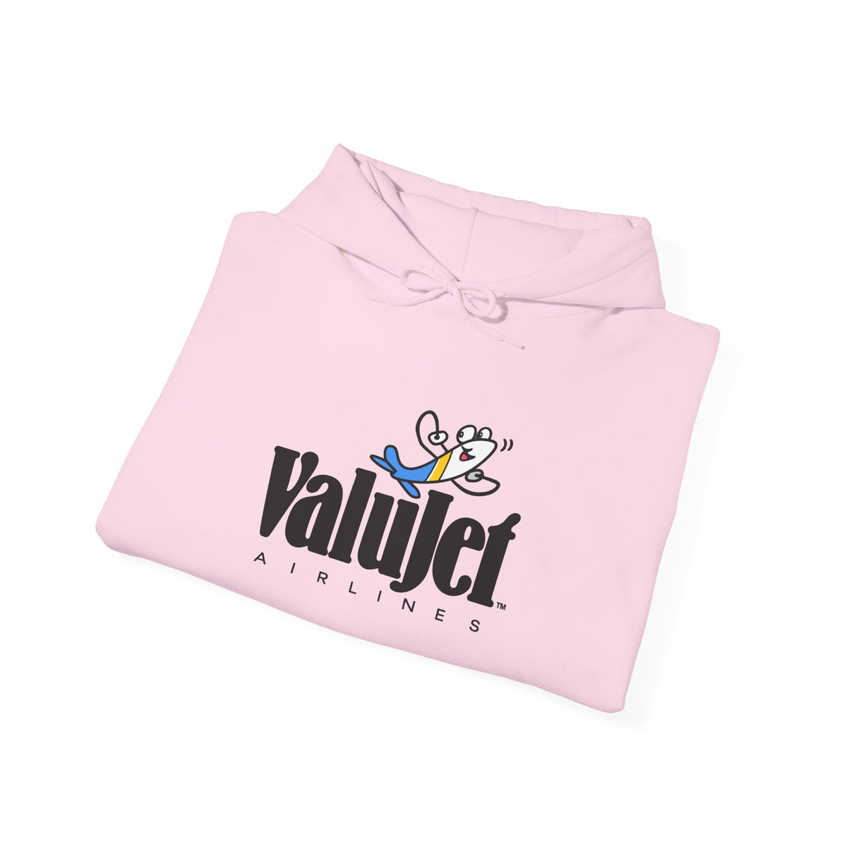 ValuJet Airlines Hoodie / Sweatshirt
