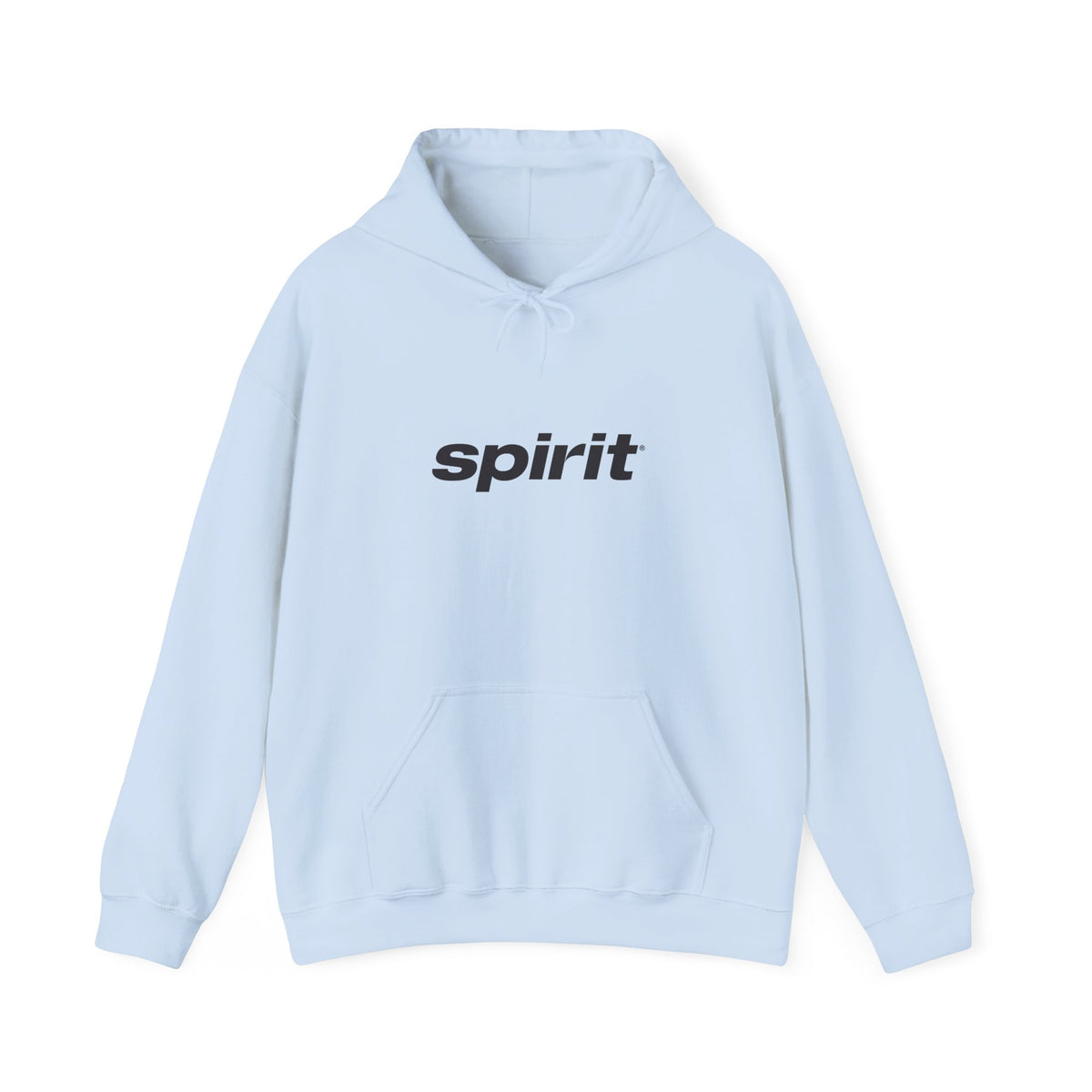 Spirit Airlines Hoodie / Sweatshirt