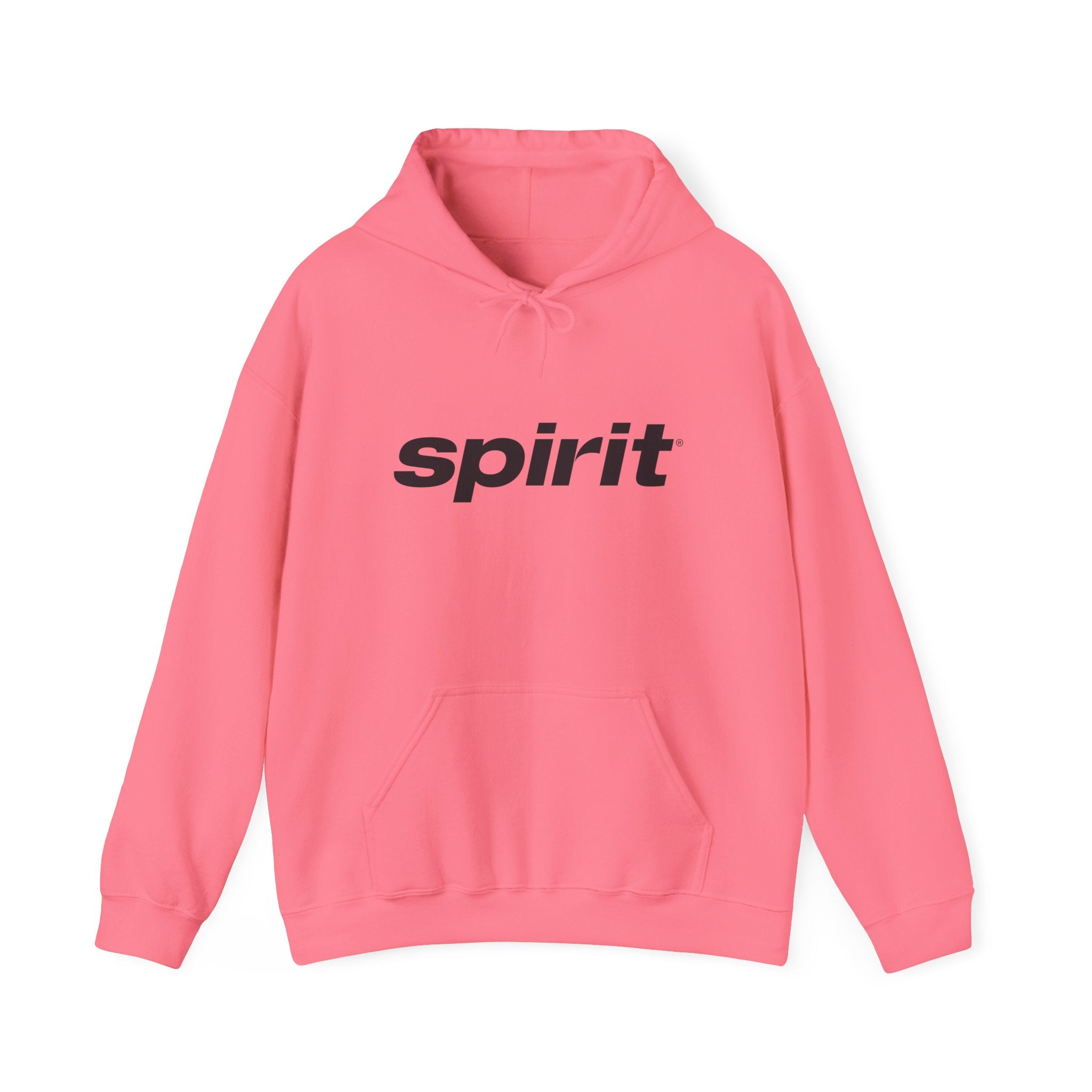 Spirit Airlines Hoodie / Sweatshirt