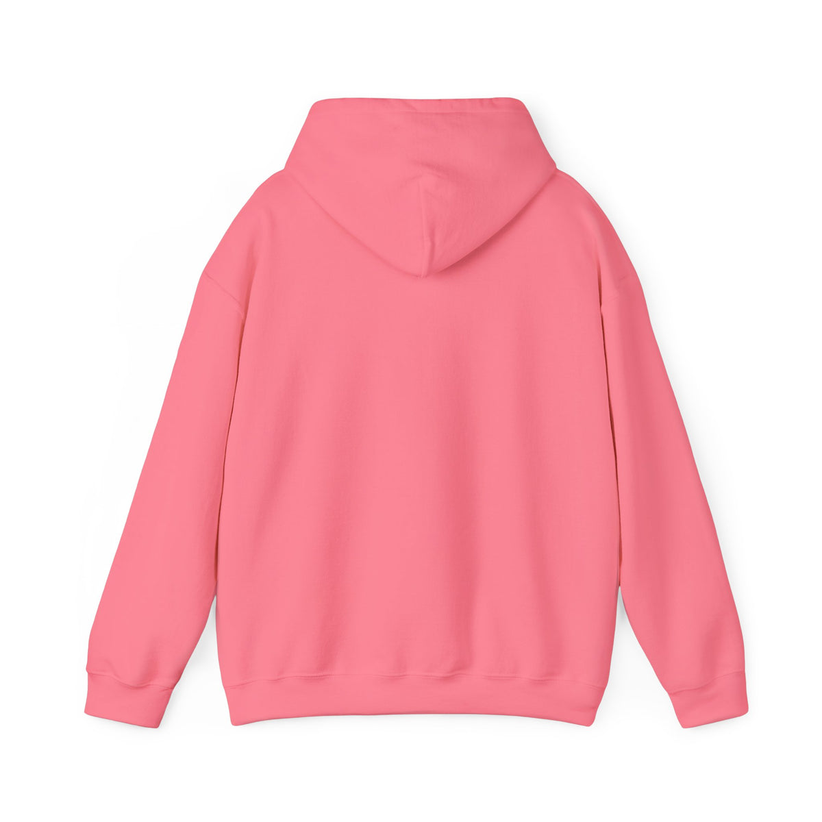 Big Bear Stores Hoodie / Sweatshirt