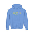 Kelly-Moore Paints Youth Hoodie / Sweatshirt
