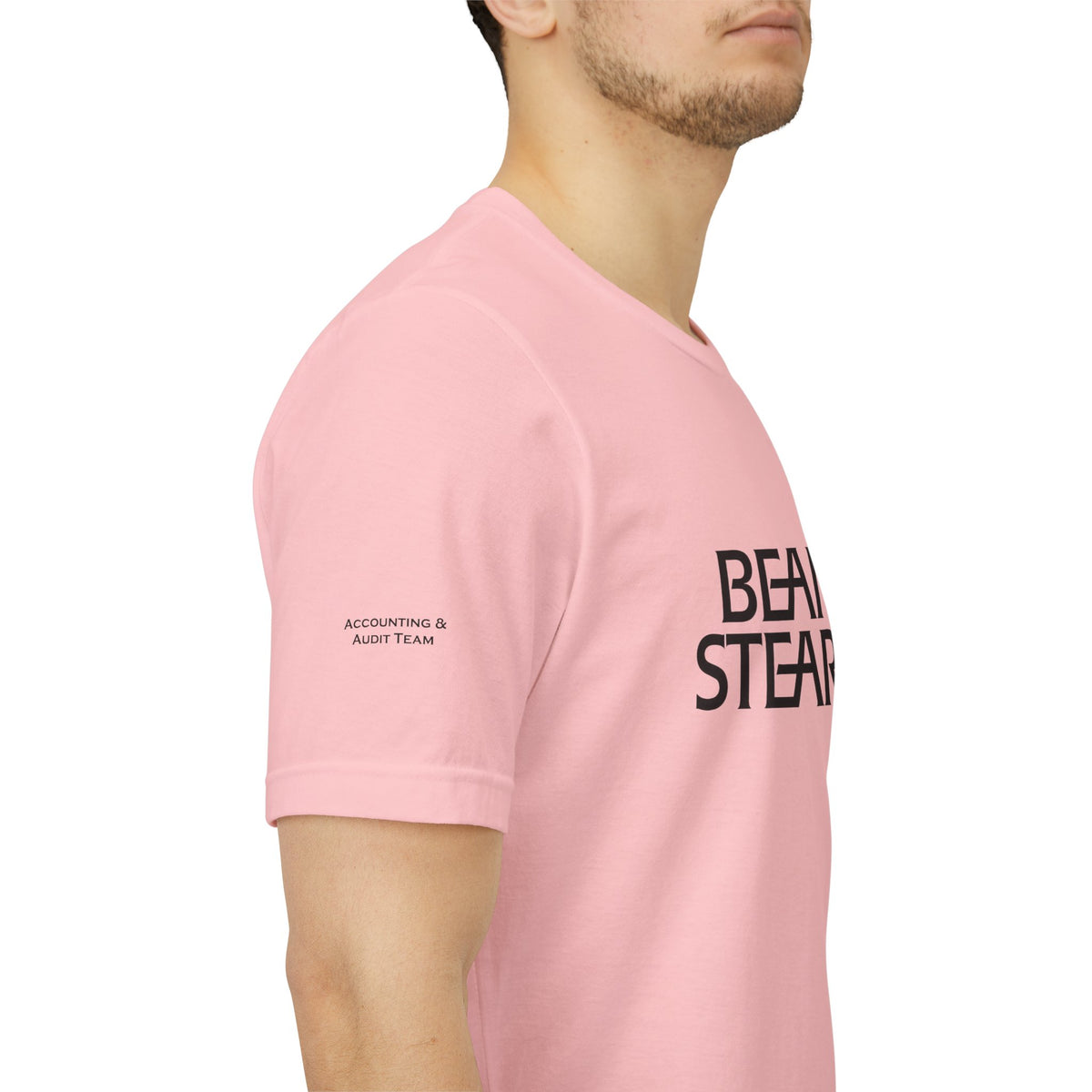 Bear Stearns T-Shirt Accounting & Audit Team (Sleeve)