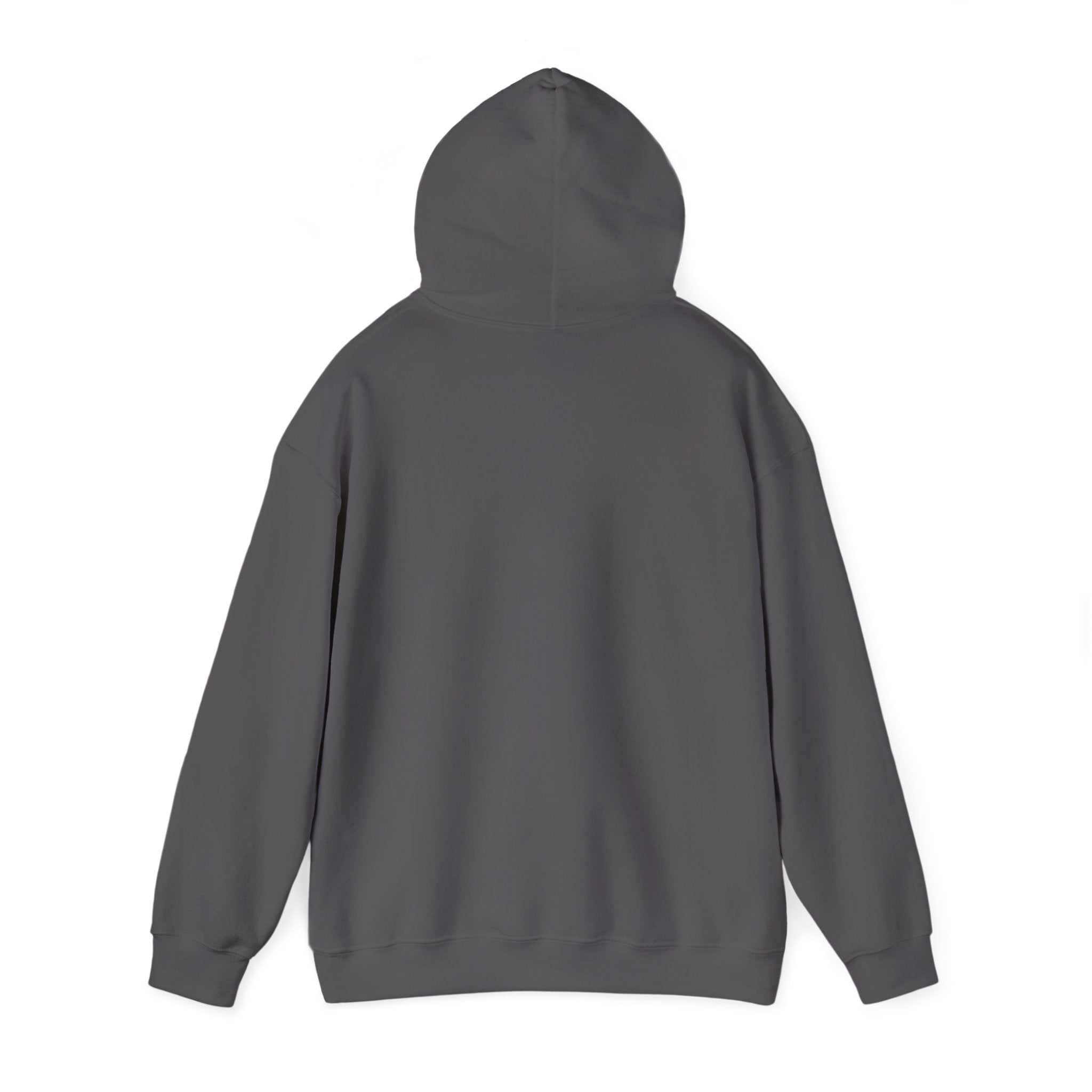 Northwestern Bell Hoodie / Sweatshirt