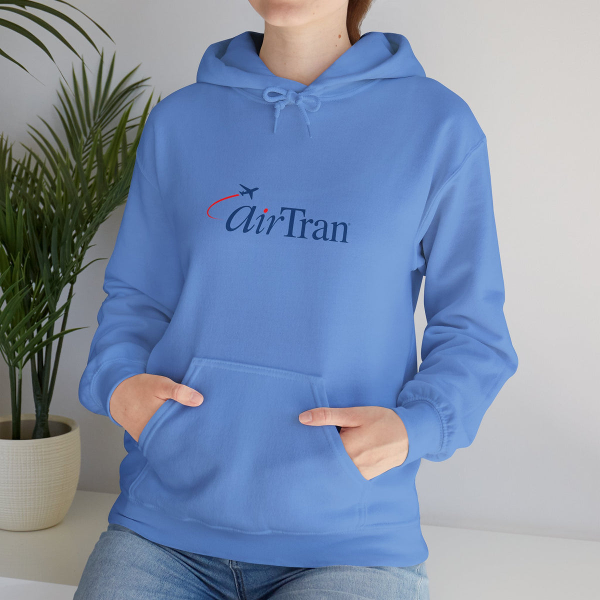 AirTran Airways Hoodie / Sweatshirt