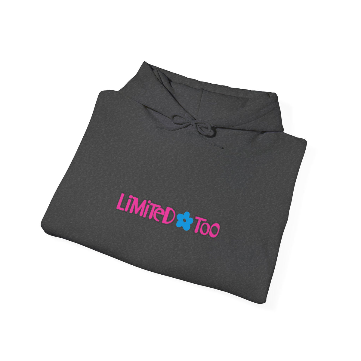 Limited Too Hoodie / Sweatshirt