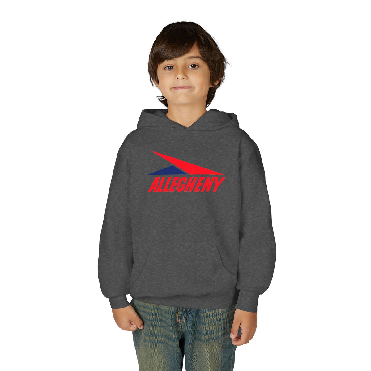 Allegheny Airlines Youth Hoodie / Sweatshirt