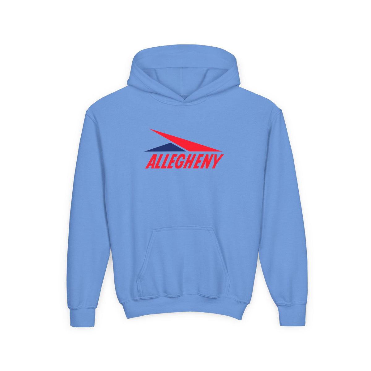 Allegheny Airlines Youth Hoodie / Sweatshirt